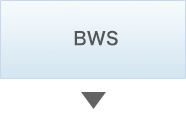 BWS